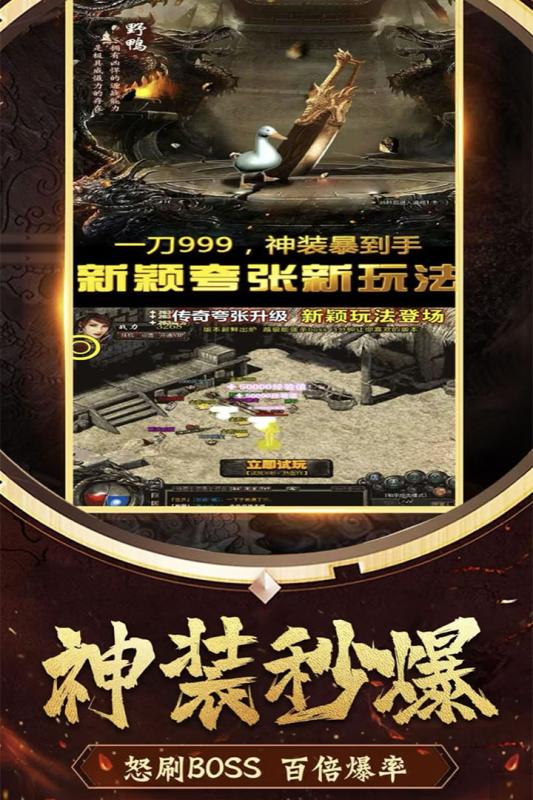 小说儿飞箭问道
